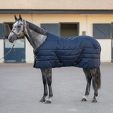 Stable rug standard (100g)