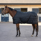 Virolla Stable Rug Standard 200g Black - bay thoroughbred in premium quilted black stable rug, brand-side full body view in stable yard