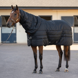 Stable rug combo (400g)