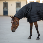 Stable rug combo (400g)