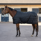 Stable rug combo (400g)